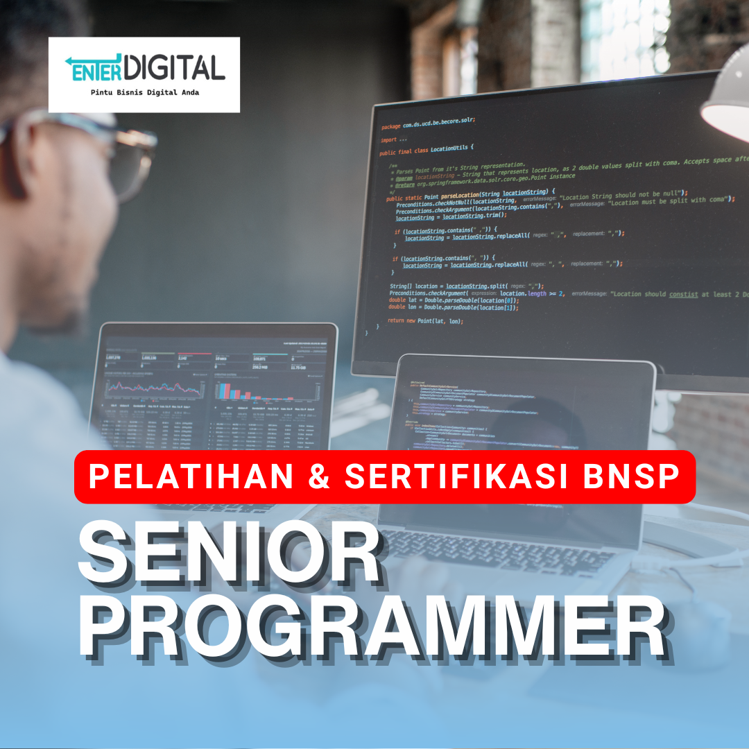 Senior Programmer
